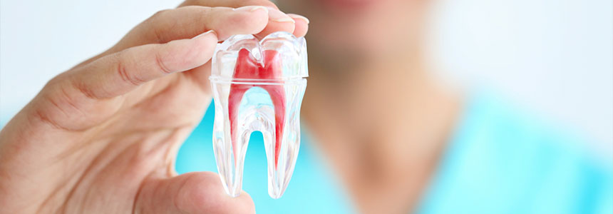 Dr Fernandes Root Canal treatment Dr Fernandes Root Canal treatment